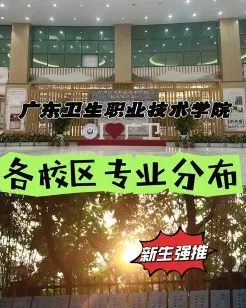 学院
