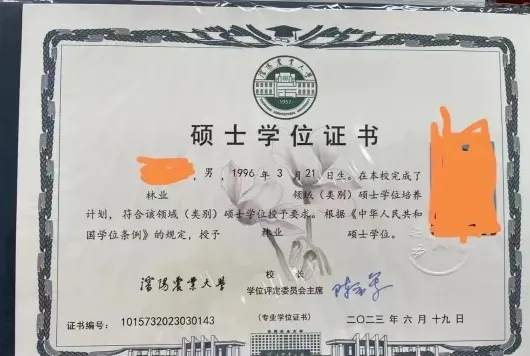 在职研究生
