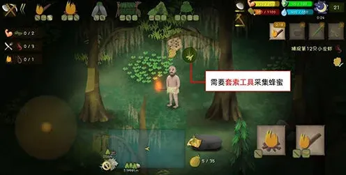 挨饿荒野沼泽丛林蜂蜜采集全流程指南