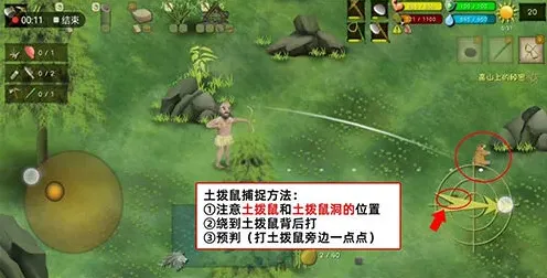 挨饿荒野高山