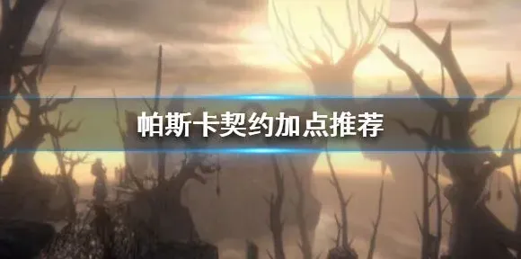 帕斯卡契约加点指南 加点优先级详解