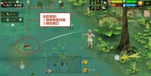 挨饿荒野野鸭捕捉攻略玩法详解