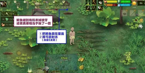 挨饿荒野鳄鱼捕捉技巧与方法攻略