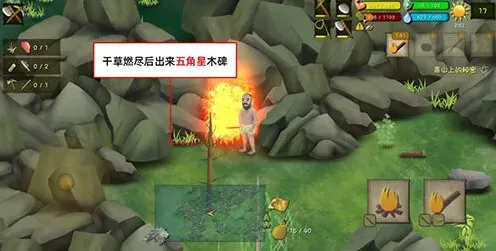 挨饿荒野罗马尼亚
