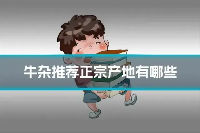 牛杂推荐正宗产地有哪些