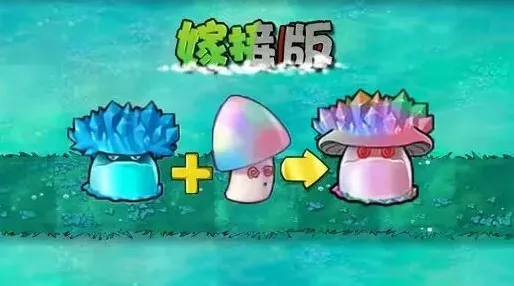 植物大战僵尸寒冰菇