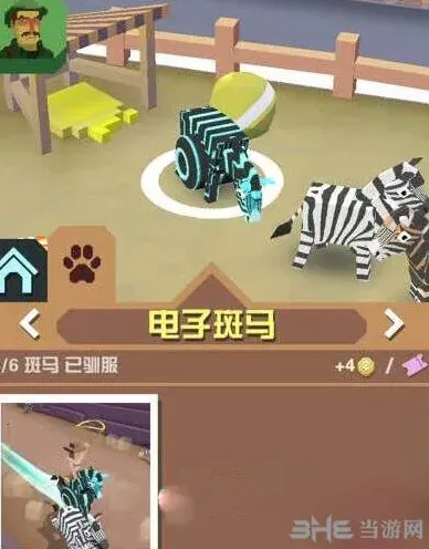 疯狂动物园斑马
