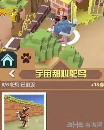疯狂动物园鸵鸟
