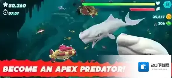 饥饿鲨进化国际服鲨鱼