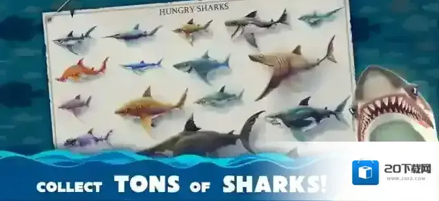 饥饿鲨世界国际服鲨鱼