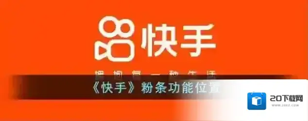 快手粉条