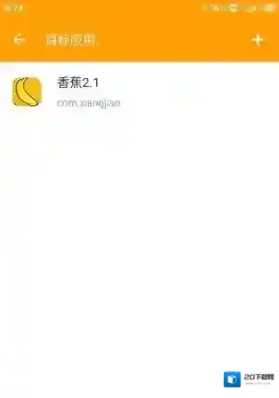 小黄鸟抓包辅助