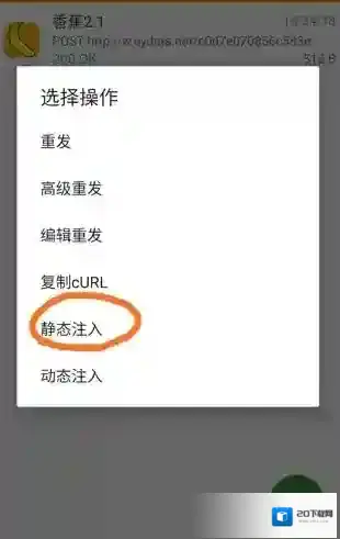 小黄鸟抓包飞机