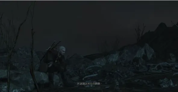 巫师三镜子大师