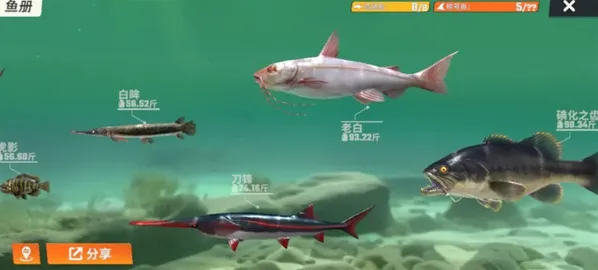 欢乐钓鱼大师都有哪些鱼 欢乐钓鱼大师全部种类鱼图鉴一览