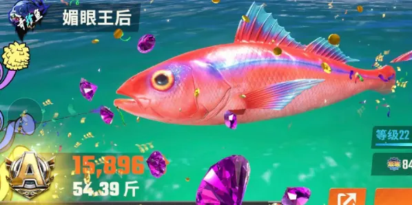 欢乐钓鱼大师大师