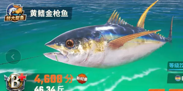 欢乐钓鱼大师体力