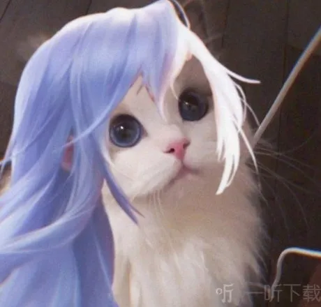 王者荣耀猫咪头像