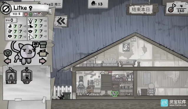 喵喵的结合布奇