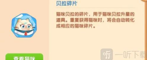 遇见猫咪