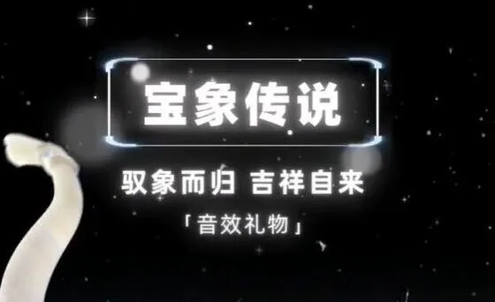 抖音粉丝