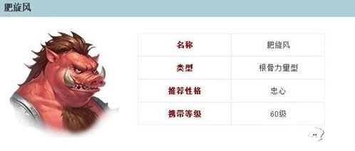 倩女幽魂肥旋风灵兽实战攻略