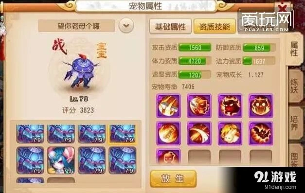 梦幻西游顶级宠物对决完整指南