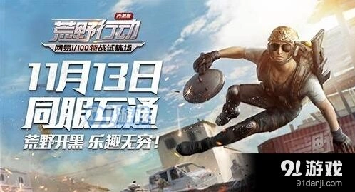 荒野行动各型号子弹适用攻略指南