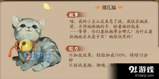 阴阳师后院玩法 狸花猫新手攻略