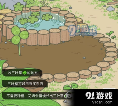 旅行青蛙三叶草种植攻略