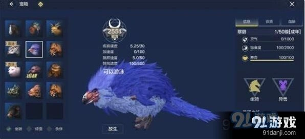 妄想山海翠鹞玩法指南