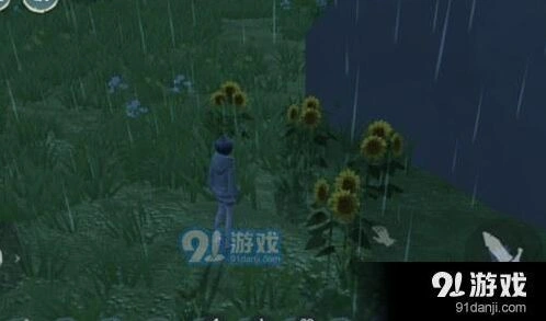 创造与魔法向日葵采集位置与实用攻略
