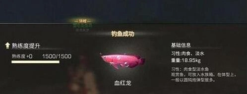 明日之后：血红龙获取技巧与用途解析