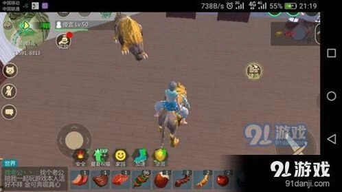 创造与魔法家园升级材料需求表