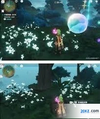 原神：水天丛林解密方法详解