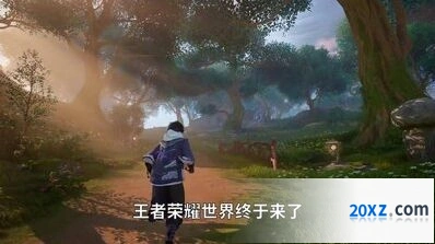 王者荣耀世界菇相关内容导航