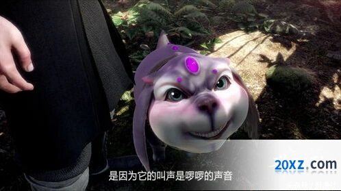 斗罗大陆诺丁城宝箱位置流程指南