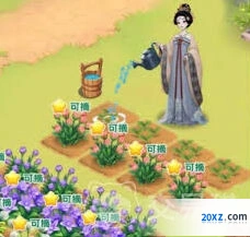 我的花园世界送花方法教程