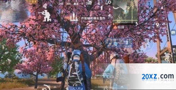 和平精英祈愿树位置分布攻略