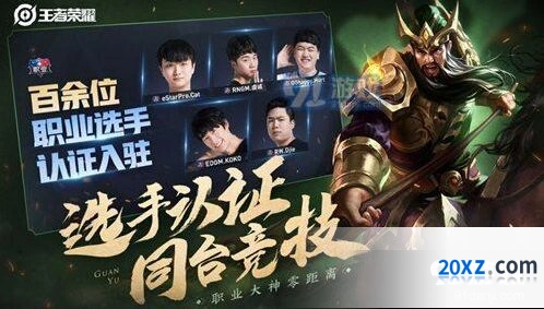 王者荣耀职业选手认证系统完整教程