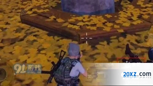和平精英中秋月兔模式赏花完整攻略