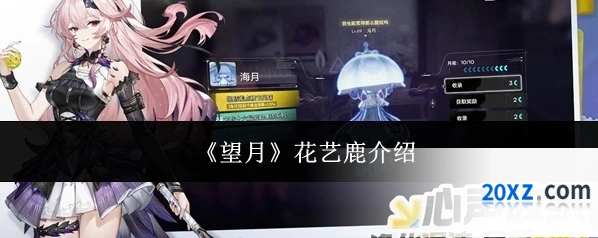 《望月》花艺鹿介绍