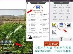 今日水印相机水印地址修改操作方法