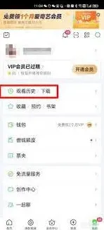 《爱奇艺极速版》观看历史清理方法