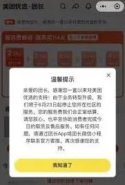 美团优选停止运营原因探究