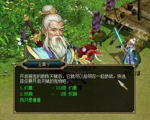 问道魂兽石五种属性效果指南