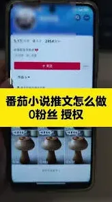 番茄小说投稿步骤全解