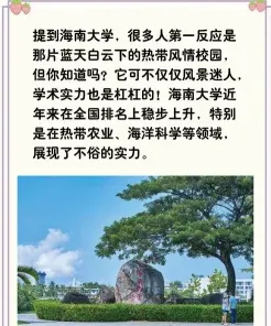 高校