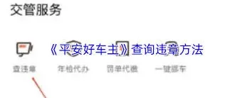 《平安好车主》驾驶行为评分查看方法
