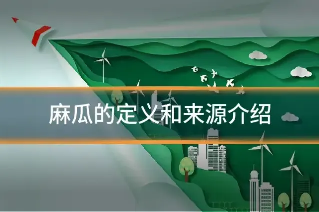 麻瓜的定义和来源介绍